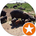 ausorganicpork profile picture